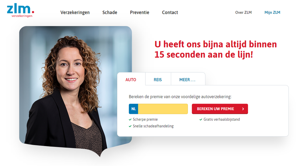 Screenshot ZLM website